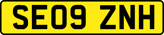 SE09ZNH
