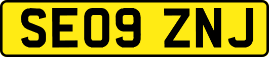SE09ZNJ