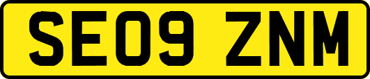 SE09ZNM