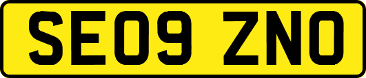 SE09ZNO