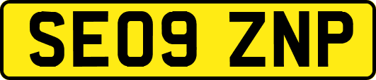 SE09ZNP