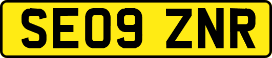 SE09ZNR