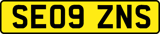 SE09ZNS