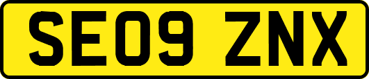 SE09ZNX
