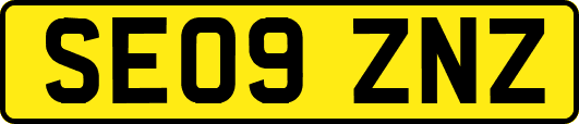 SE09ZNZ