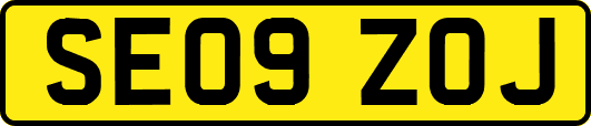SE09ZOJ