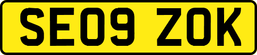 SE09ZOK
