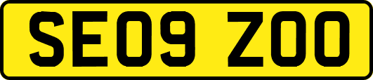 SE09ZOO