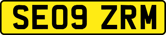 SE09ZRM