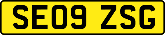 SE09ZSG