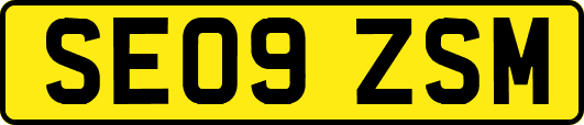 SE09ZSM