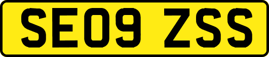 SE09ZSS