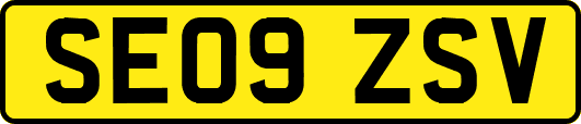 SE09ZSV
