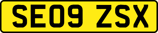 SE09ZSX