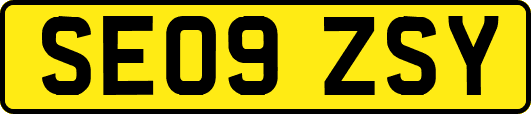 SE09ZSY