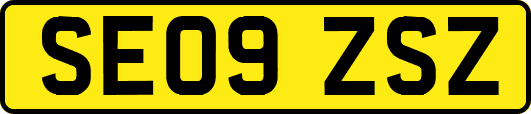 SE09ZSZ