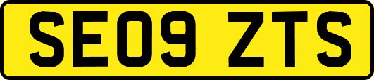 SE09ZTS