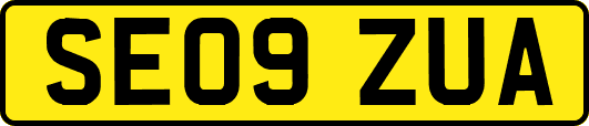 SE09ZUA