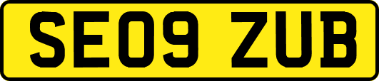 SE09ZUB
