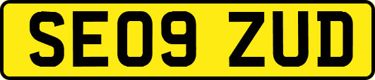 SE09ZUD