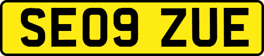 SE09ZUE