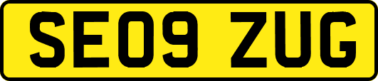 SE09ZUG