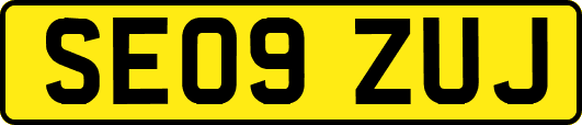 SE09ZUJ