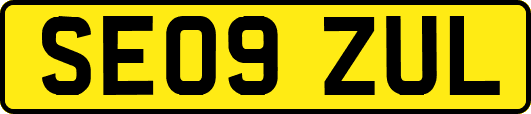 SE09ZUL