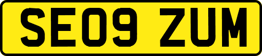 SE09ZUM