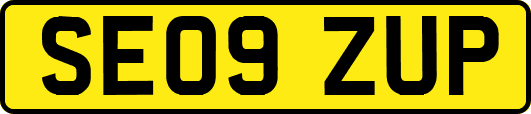 SE09ZUP