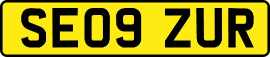 SE09ZUR