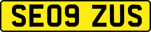 SE09ZUS