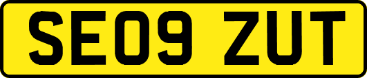 SE09ZUT