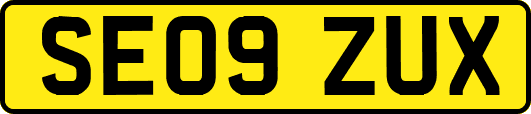 SE09ZUX