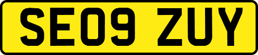 SE09ZUY
