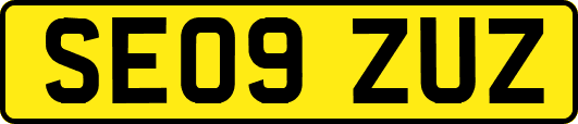 SE09ZUZ