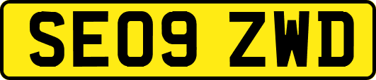 SE09ZWD