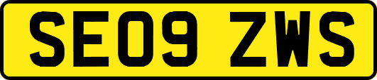 SE09ZWS