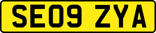 SE09ZYA