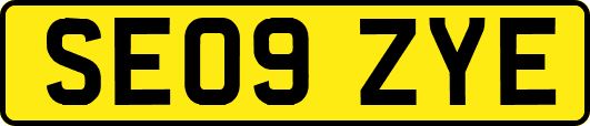 SE09ZYE