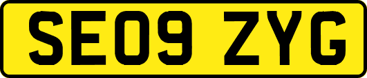 SE09ZYG