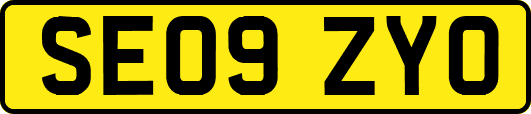 SE09ZYO
