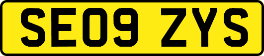 SE09ZYS