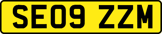 SE09ZZM