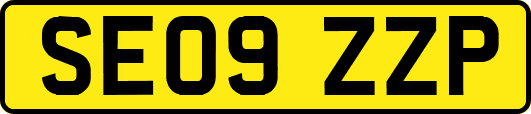 SE09ZZP