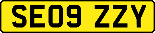 SE09ZZY