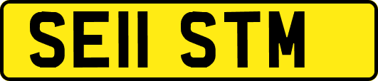 SE11STM