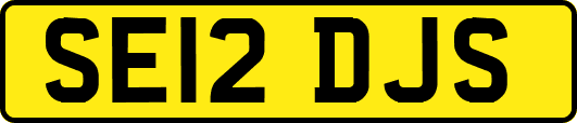 SE12DJS