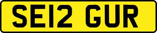 SE12GUR