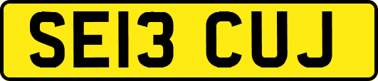 SE13CUJ